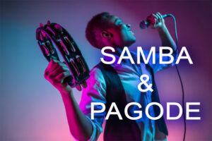 Samba & Pagode 2000 musicas pendrive gravado